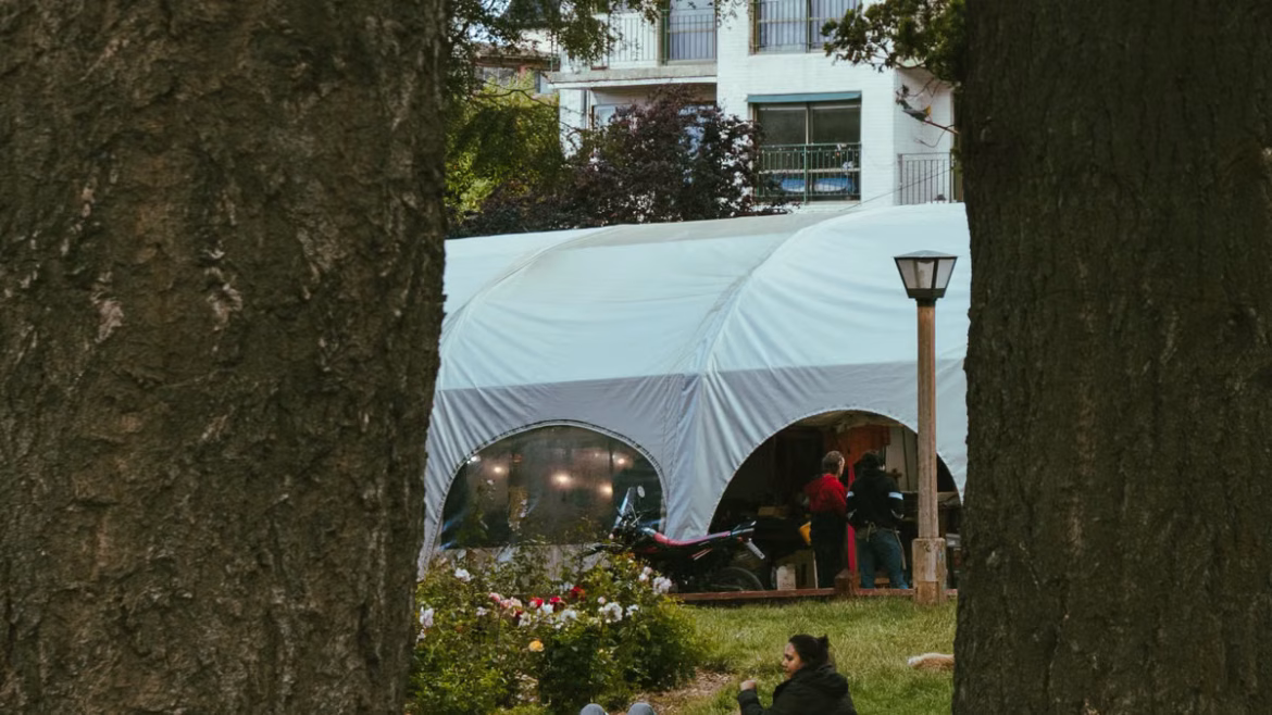 Thérapie par la nature en ville : 5 bénéfices santé prouvés